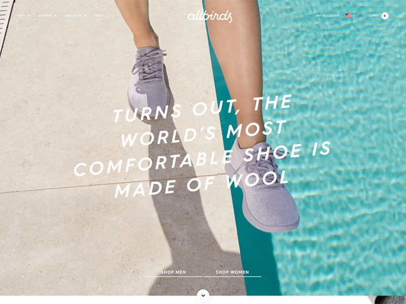 Allbirds Great Website Design