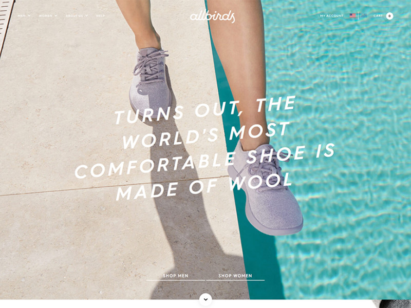Allbirds Great Homepage