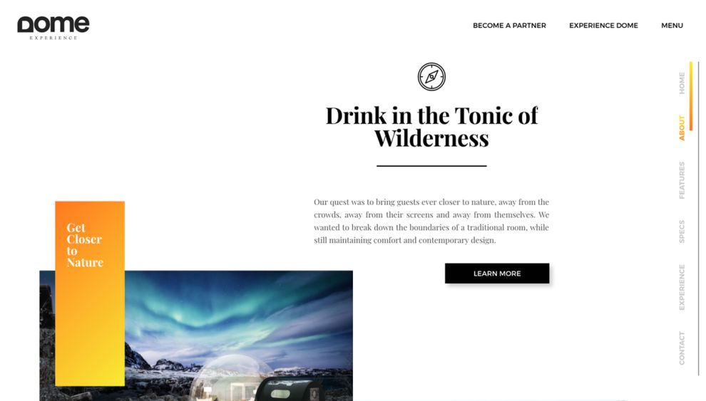Dome Experience Awesome Website Design