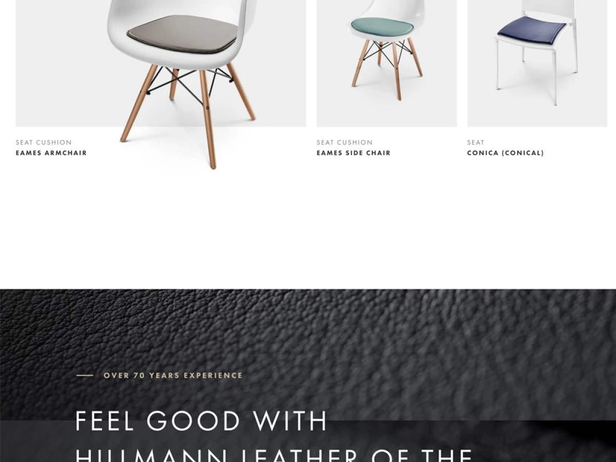 Hillmann Living Clean Homepage