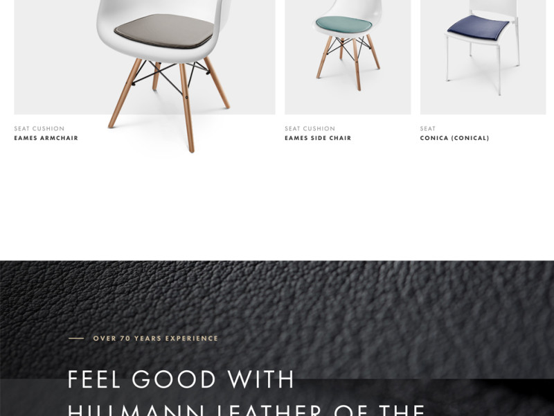 Hillmann Living Clean Homepage