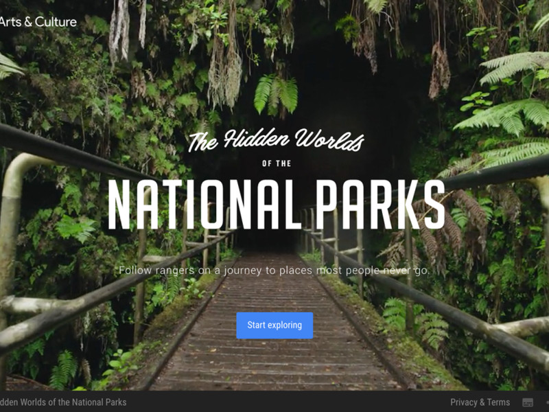 The Hidden Worlds Minimal Website Design