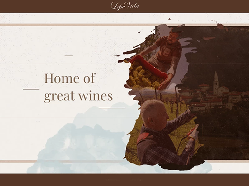 Lepa Vida Beautiful Website Design