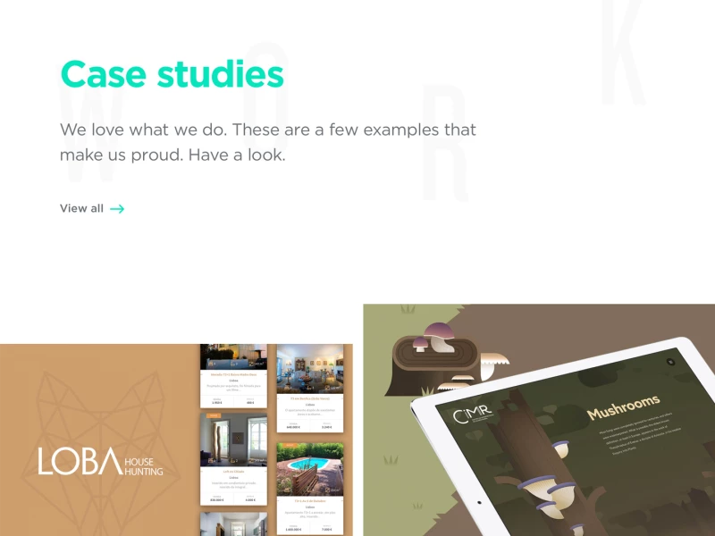 Seegno Amazing Website Design