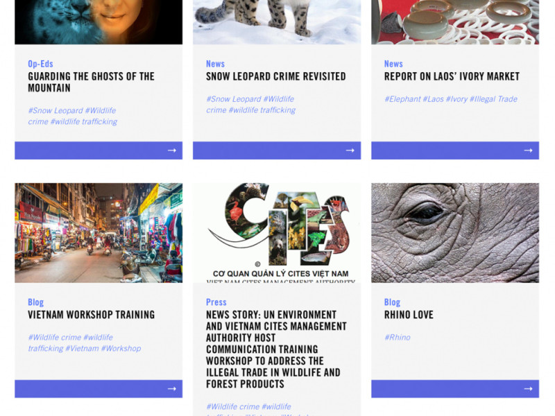 Wild for Life Colorful Homepage