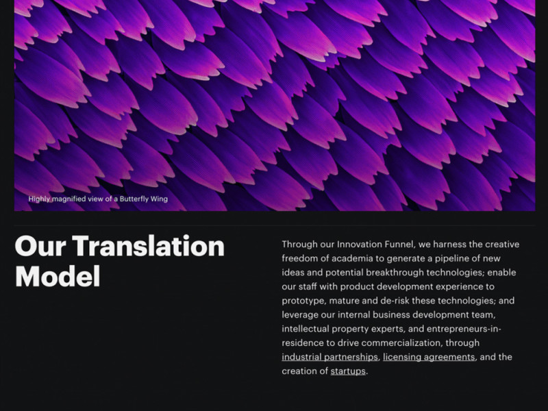 Wyss Institute Great Homepage