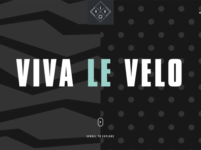 Viva Le Velo Gorgeous Website Design