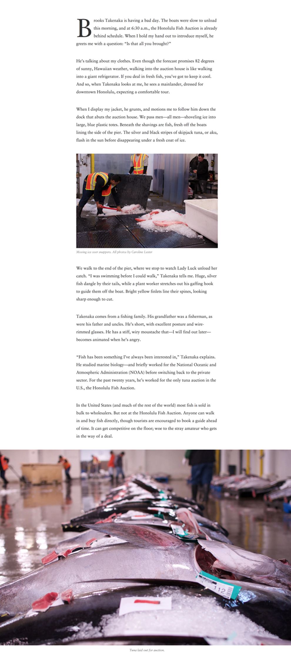 Roads Kingdoms (slide 4)