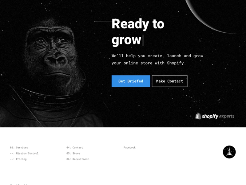 Brave the Skies Clean Website Design