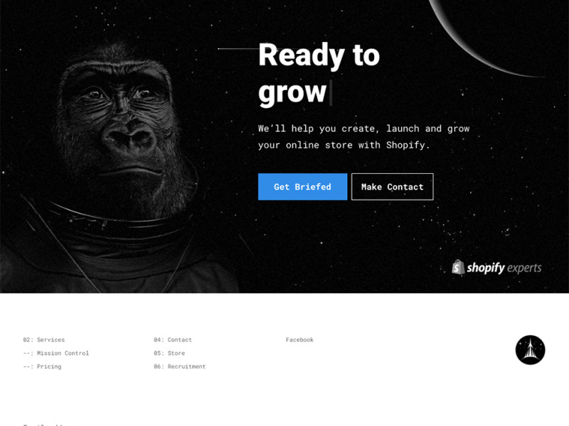 Brave the Skies Clean Homepage