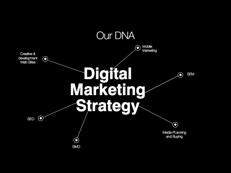 LatinMedios Professional Website Design