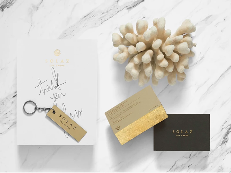 Solaz Elegant Packaging Design