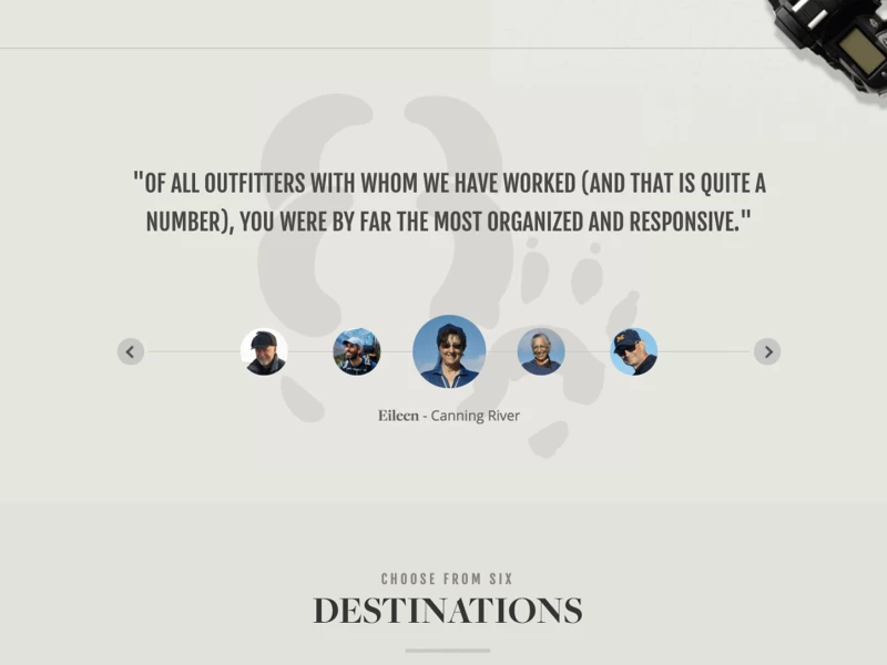 Arctic Wild Elegant Website Design