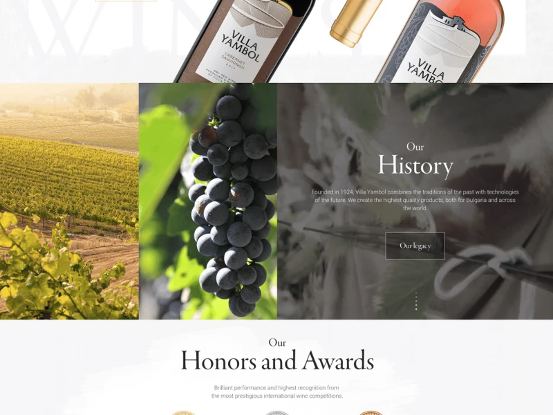 Villa Yambol Beautiful Website Design