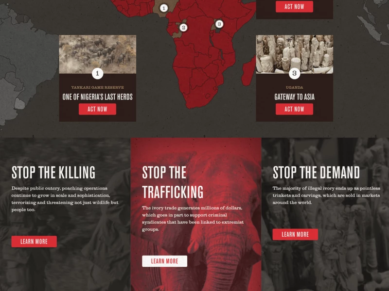 96 Elephants Beautiful Website Design