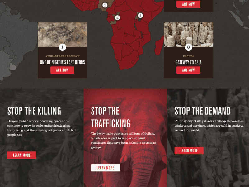 96 Elephants Beautiful Homepage