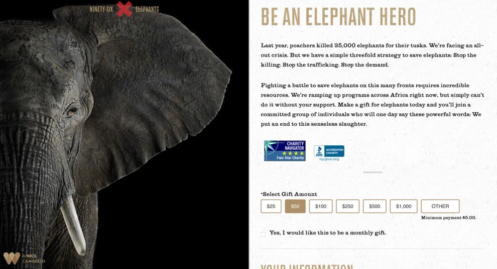 96 Elephants Beautiful Website Design