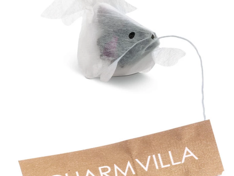 Goldfish Tea Bags Fun Packaging Design