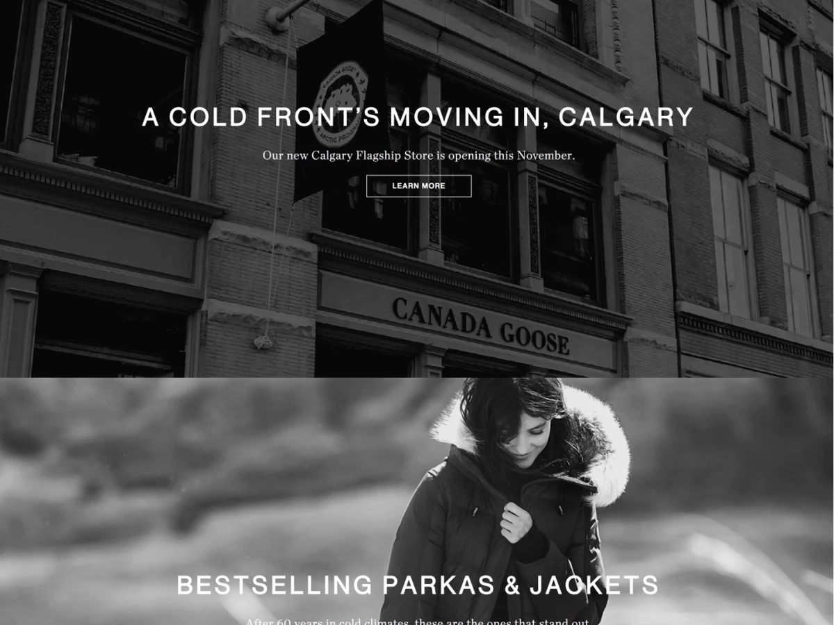Canada Goose Beautiful Homepage