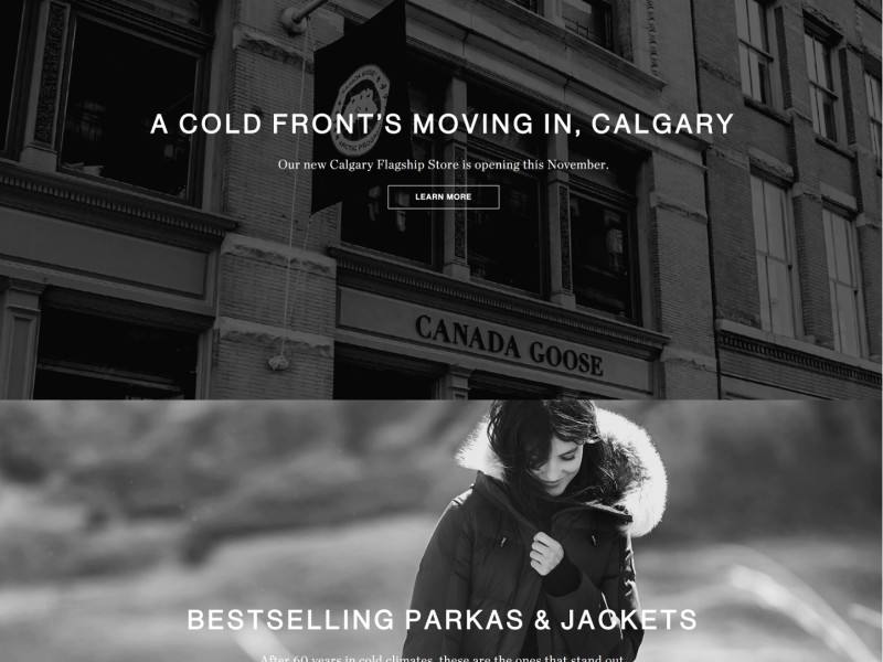 Canada Goose Beautiful Homepage