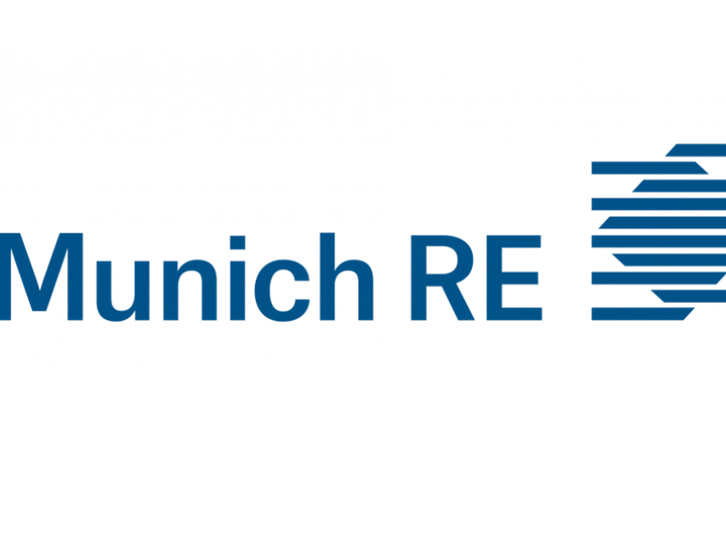 Munich RE Elegant Logo Design