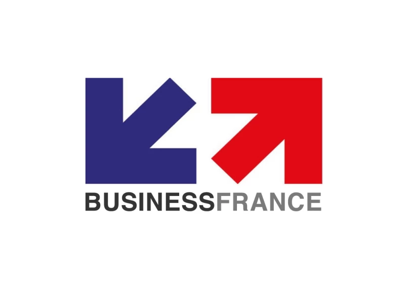 Business France Clean Logo Design