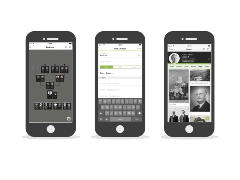 FamilySearch - Tree Clean  App Design