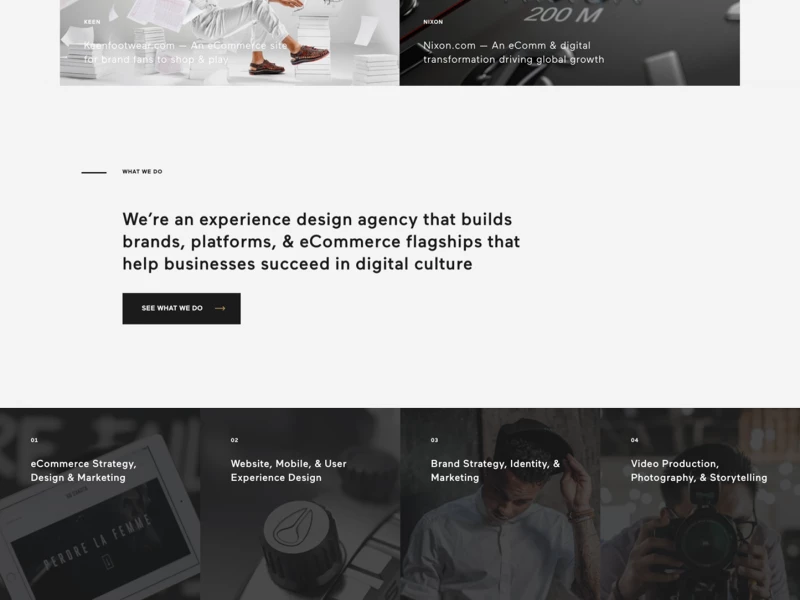 Basic Agency Professional Website Design