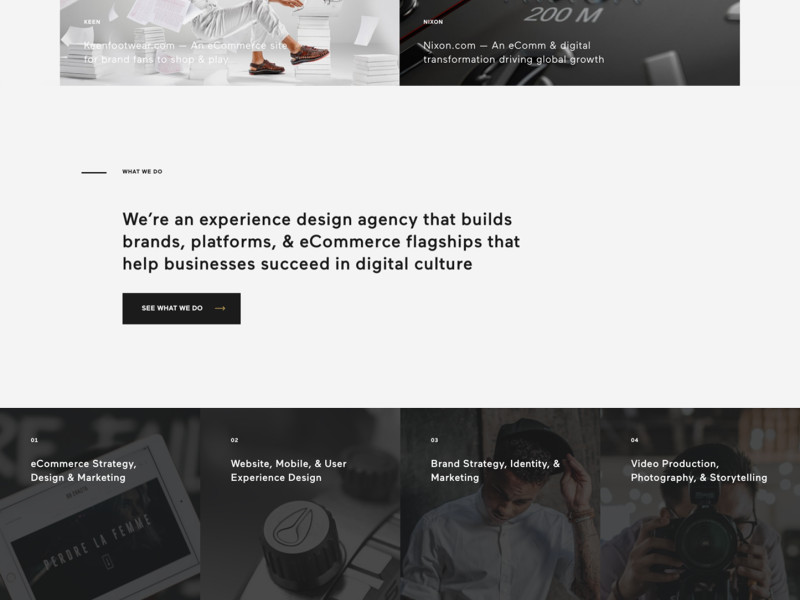 Basic Agency Professional Homepage