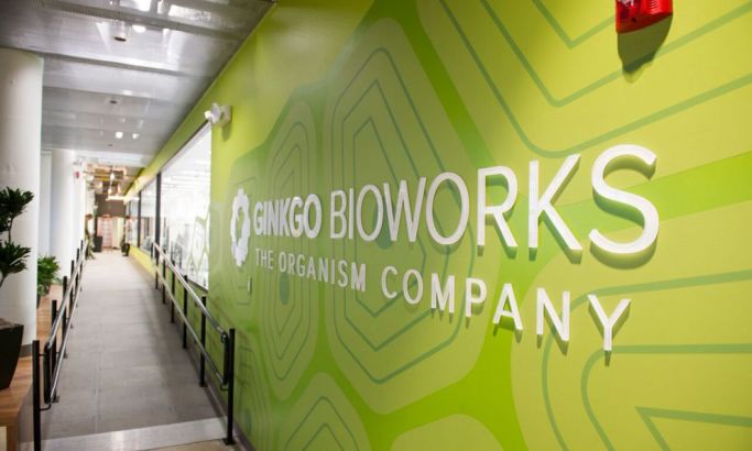 Ginkgo Bioworks Engaging Logo Design