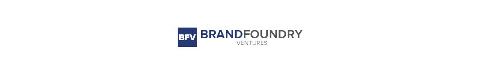 BrandFoundry Ventures Elegant Logo Design