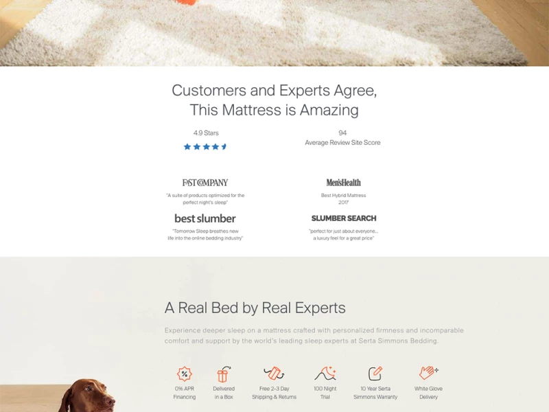 Tomorrow Sleep Clean Website Design