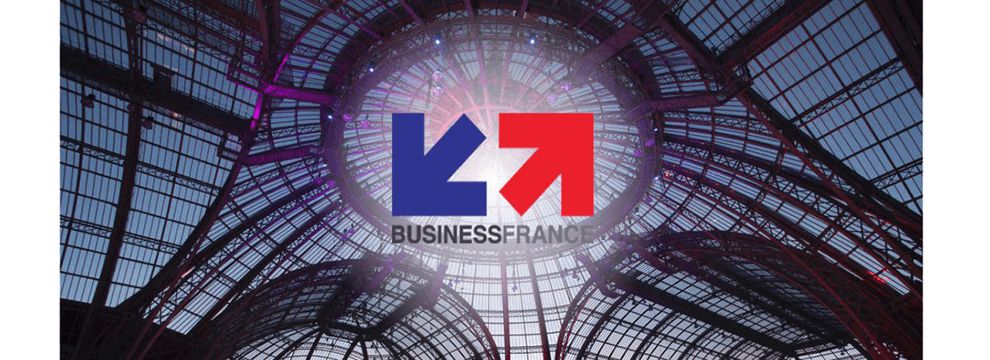 Business France Logo Design