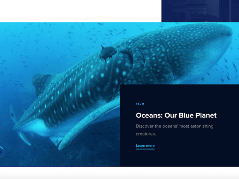 Museum of Science & Industry Corporate Homepage