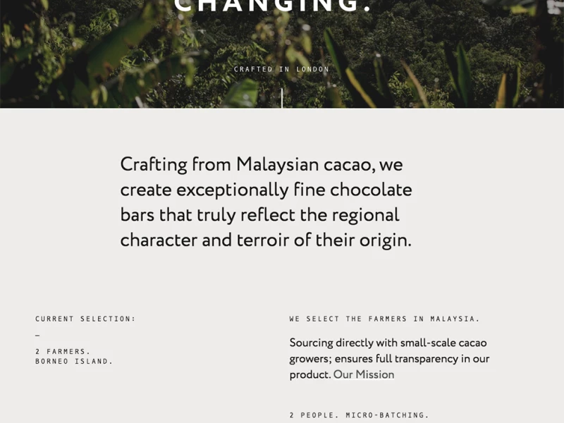 Beau Cacao Amazing Website Design