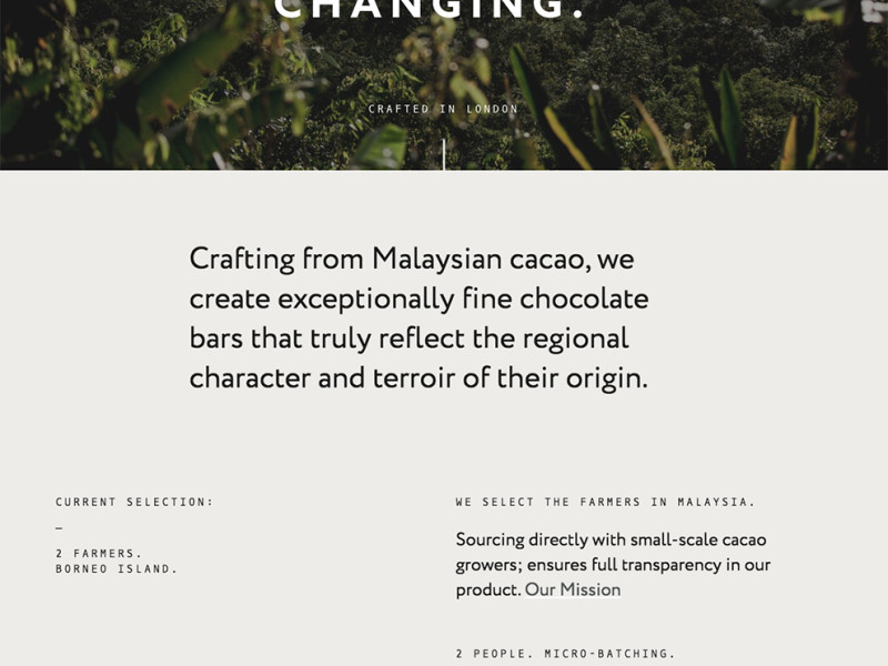 Beau Cacao Best Website Design Homepage