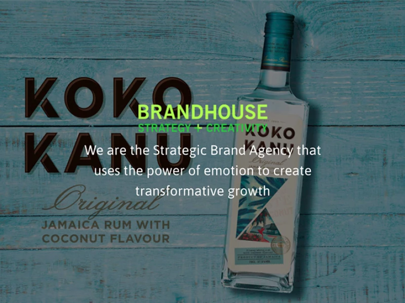Brand House Colorful Website Design