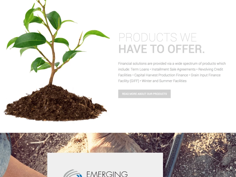 Capital Harvest Beautiful Website Design