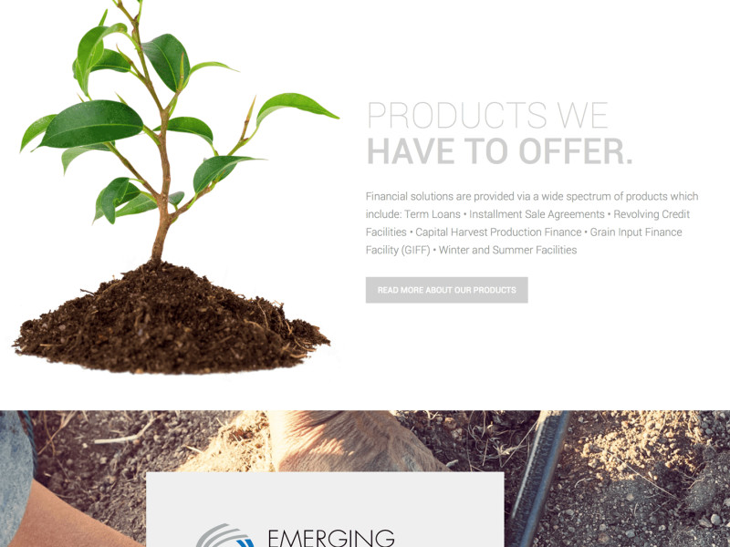 Capital Harvest Beautiful Homepage