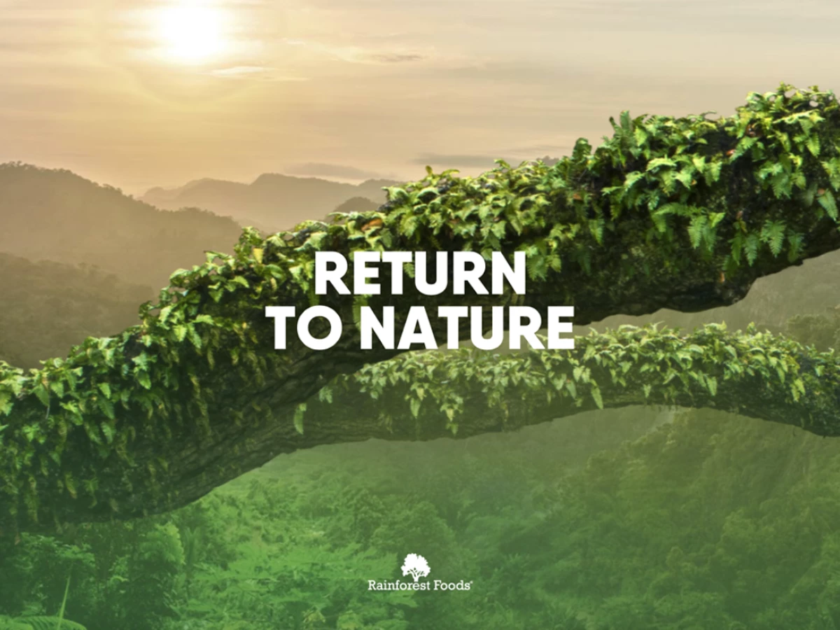 Rainforest Foods Beautiful Landing Page