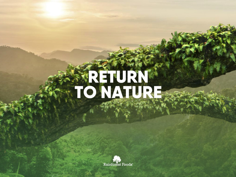 Rainforest Foods Beautiful Landing Page