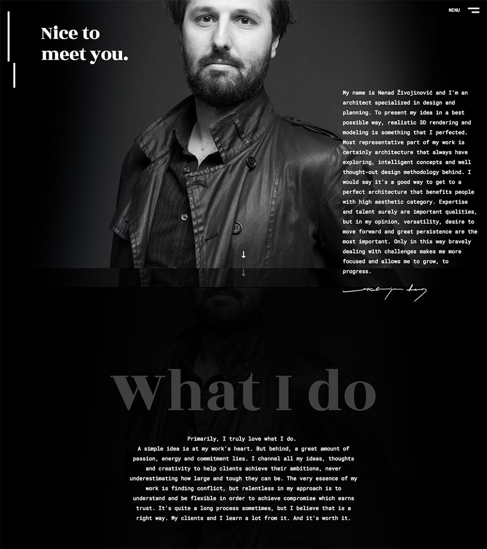 Nenad Zivojinovic Elegant About Page