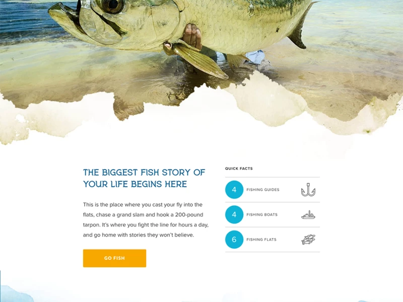 Turneffe Island Resort Beautiful Website Design 