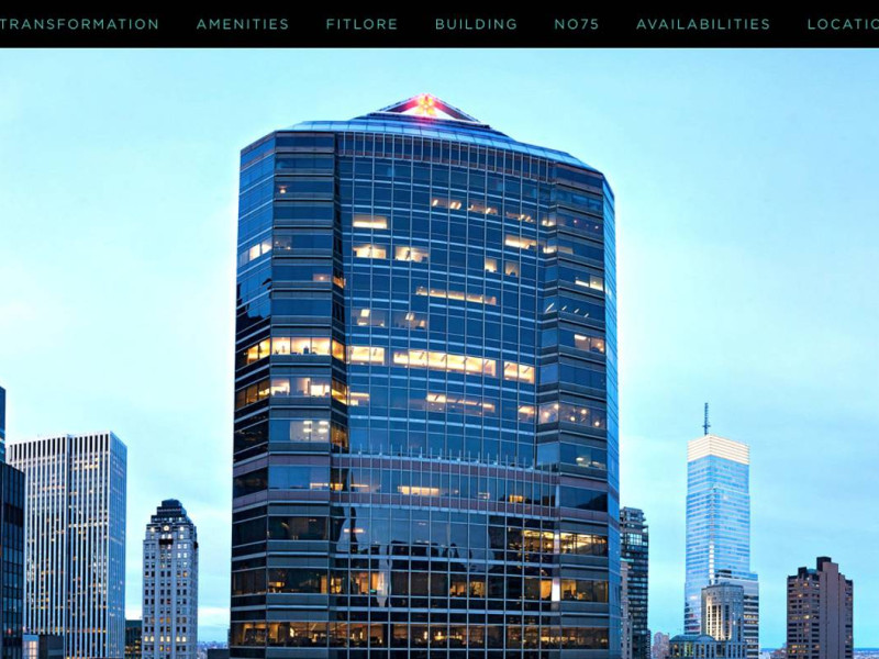 Park Avenue Tower Realty Website Design