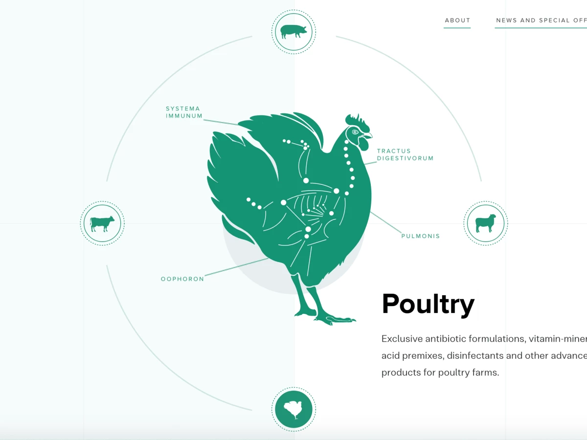 Eurovet Home Page Chicken Website Design