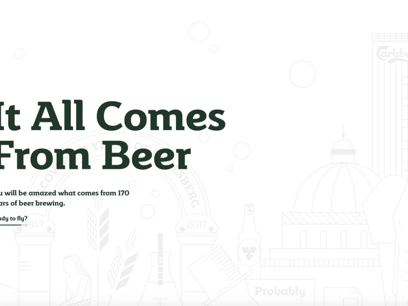 Carlsberg Best Web Design