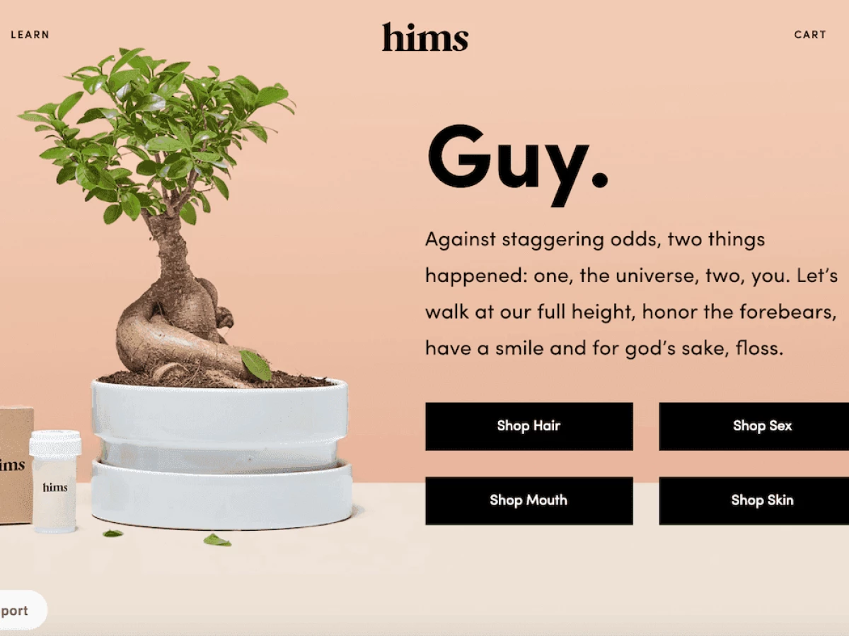 Hims Top Website Design