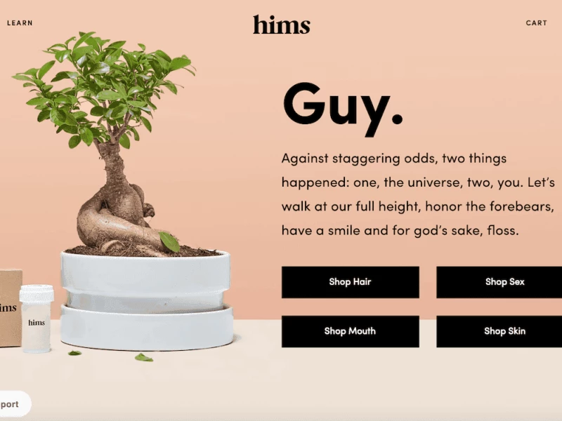 Hims Playful Website Design