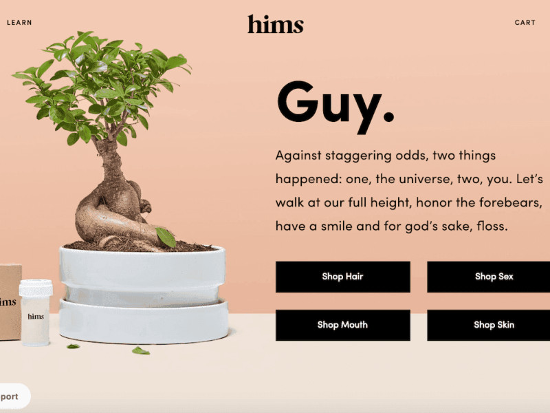 Hims Top Website Design