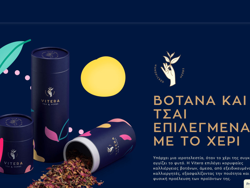 Vitera website design